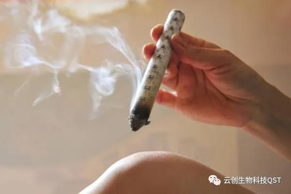 艾灸能同时调理好几种妇科问题，简单有奇效，现在开始灸还不晚！