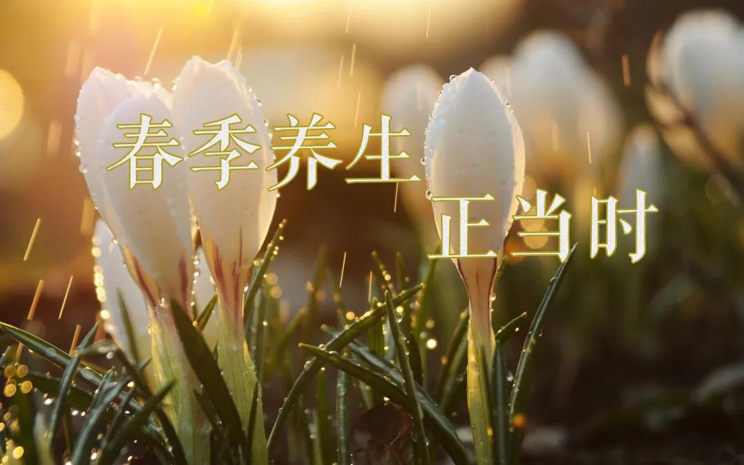 春天艾灸，阳上增阳，这些技巧别错过！