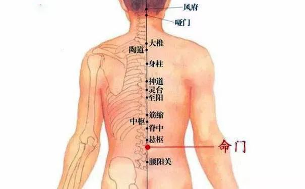 命门火衰影响人体生老病衰？命门穴有何神奇，竟决定生命的元阳盛衰？