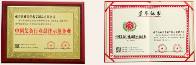 热烈祝贺蕲善堂被评选为“中国艾灸行业最佳示范企业”“中国驰名品牌”！